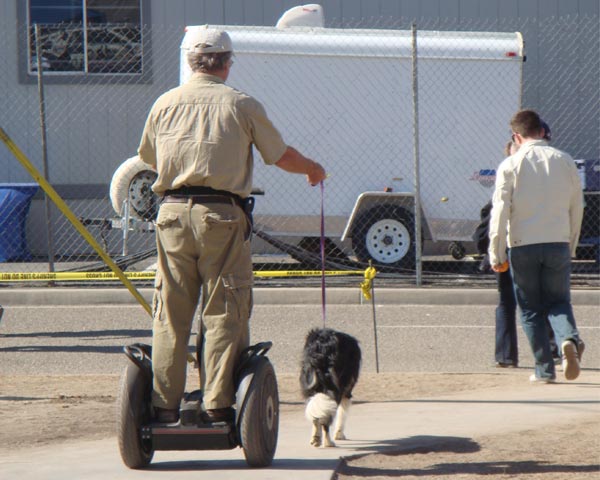 Walking the dog